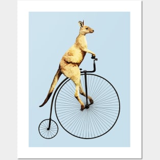 Kangaroo on a Penny Farthing Funny Posters and Art
